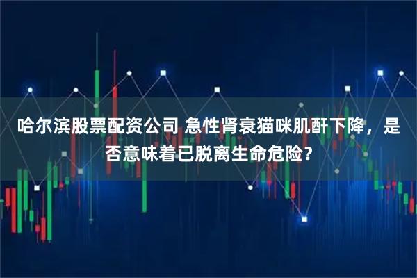 哈尔滨股票配资公司 急性肾衰猫咪肌酐下降，是否意味着已脱离生命危险？